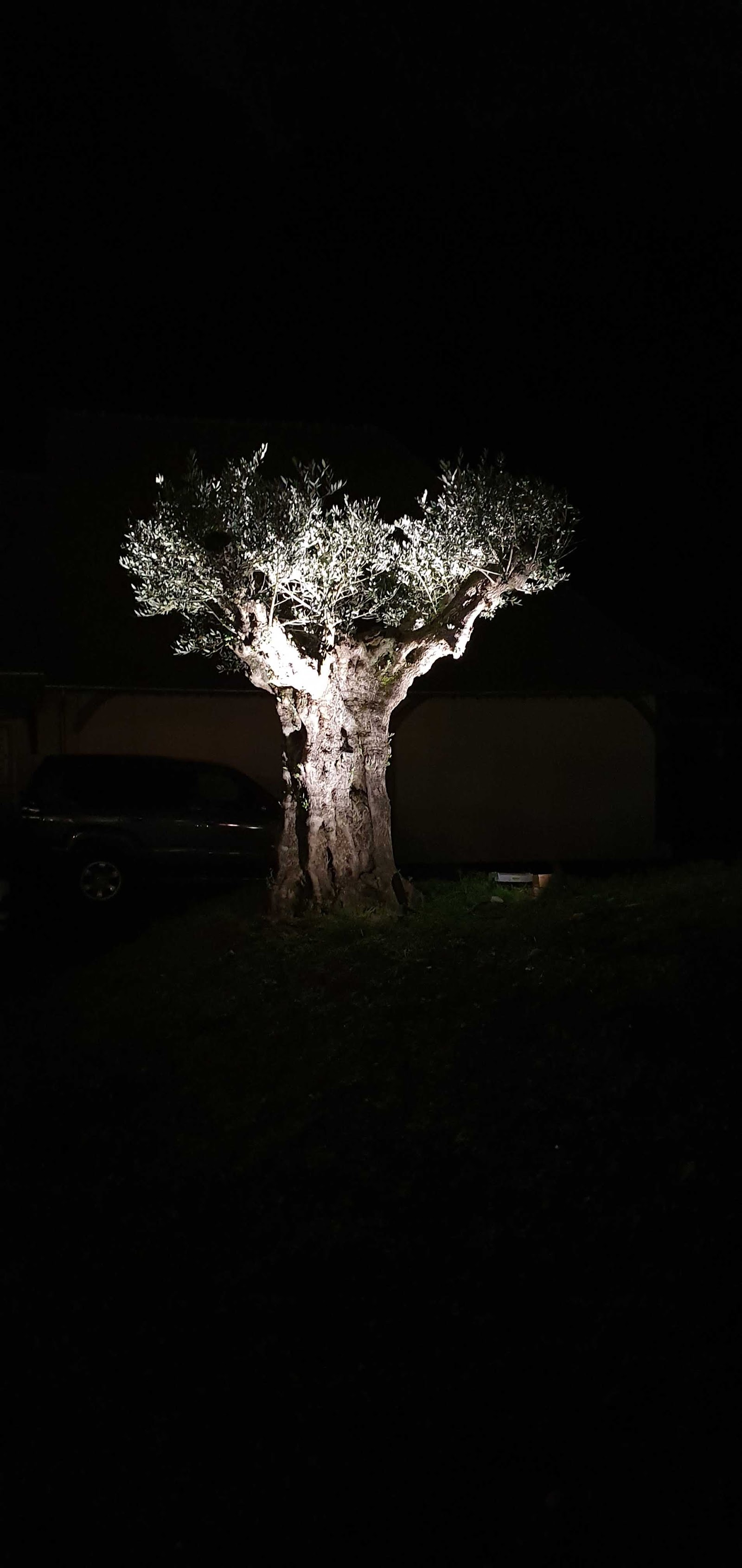 Installation d'un projecteur extérieur pour éclairage de jardin